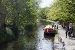 salts canal may 2017 4.jpg